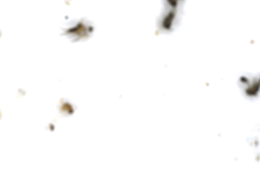 Image 44